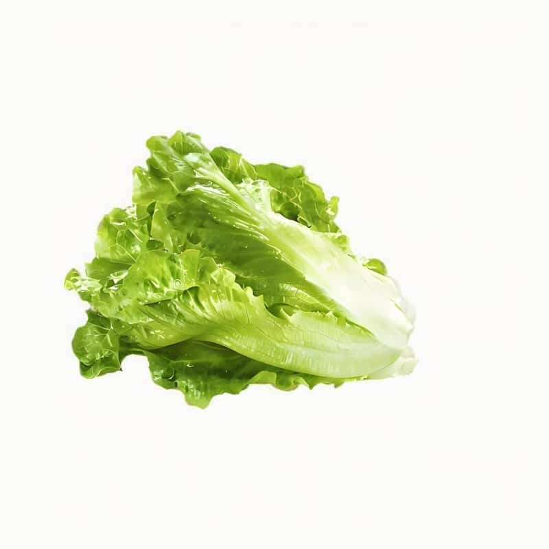 如东优选蔬菜配送电话