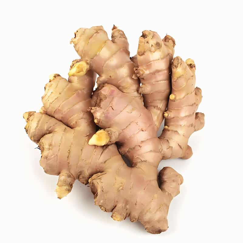 深圳蔬菜配送商网站电话