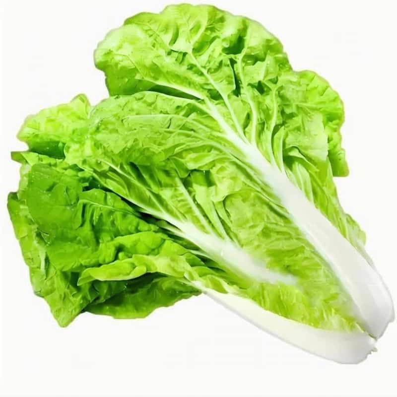 临夏配送蔬菜电话多少