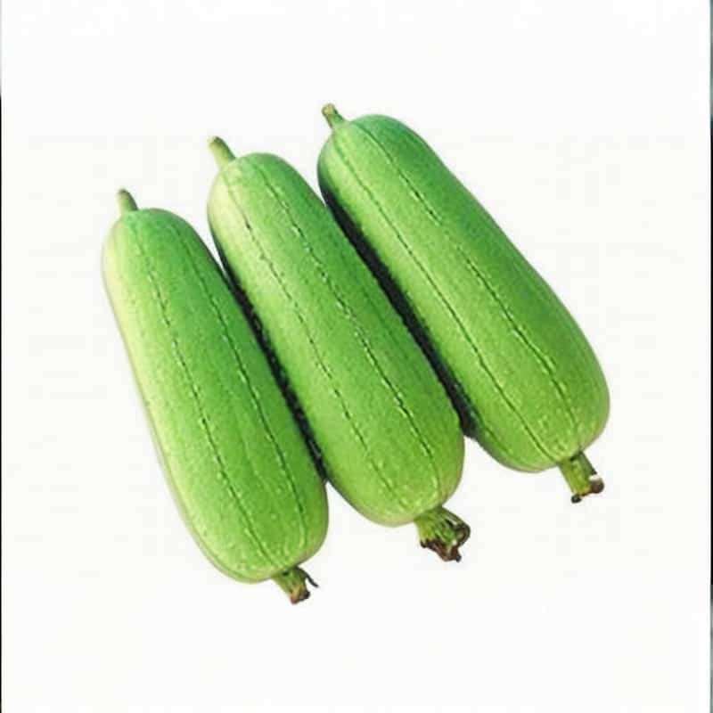 有机蔬菜配送范围是多少