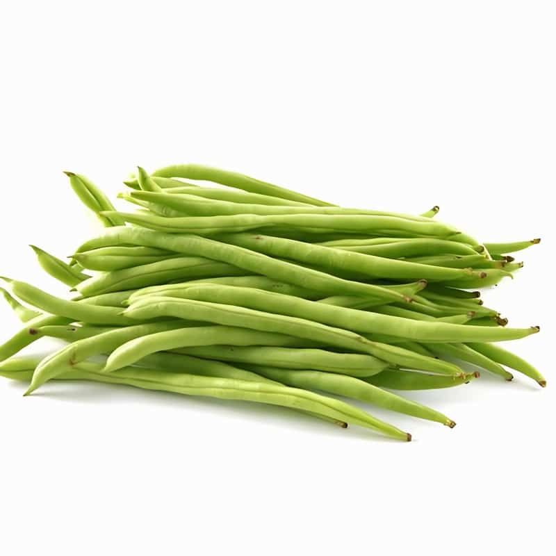 蔬菜猪肉加工包装配送