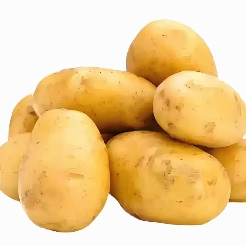 蔬菜分拣及冷链配送