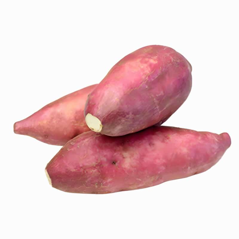 西丽食堂蔬菜配送