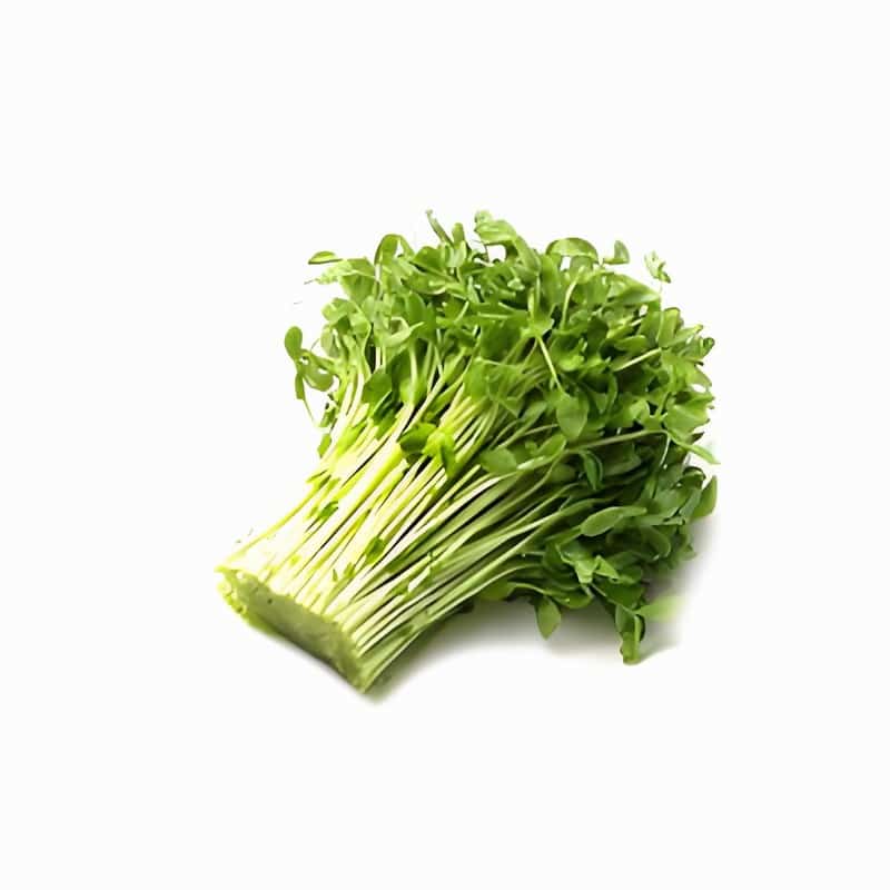 闵行区有机蔬菜配送站