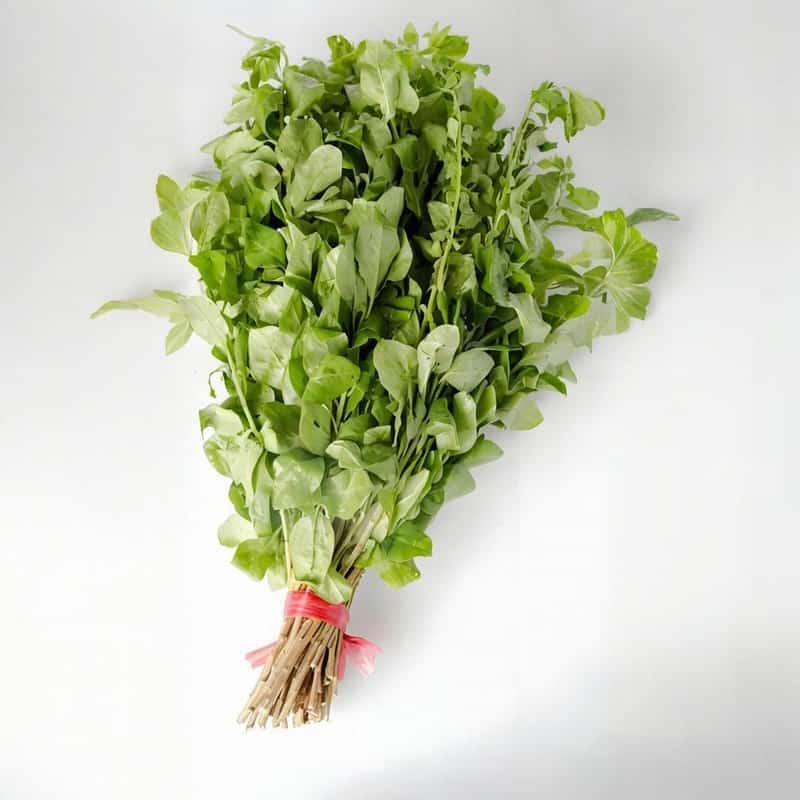 寺坡配送蔬菜电话多少