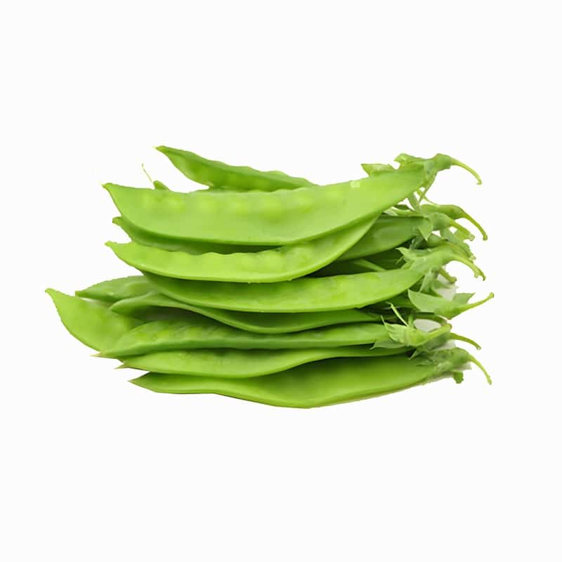 禄丰新鲜蔬菜配送电话