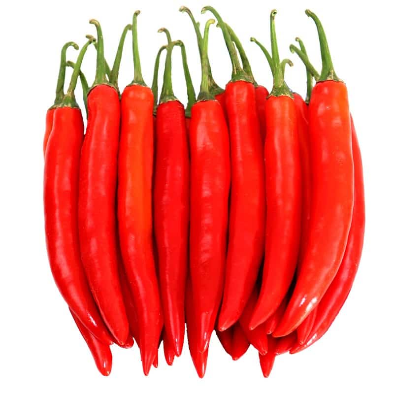 银川宁东煤矿蔬菜配送