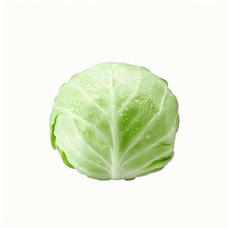 配送型食堂配送政策优化方案:效率提升与成本降低