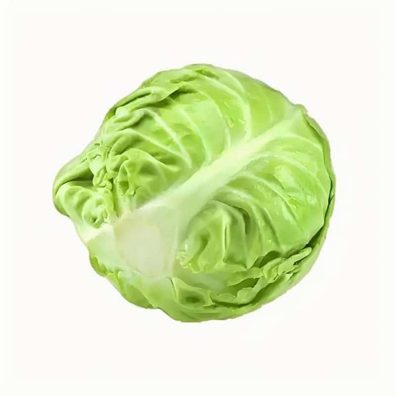 配送型食堂配送链高效便捷,解决后厨难题