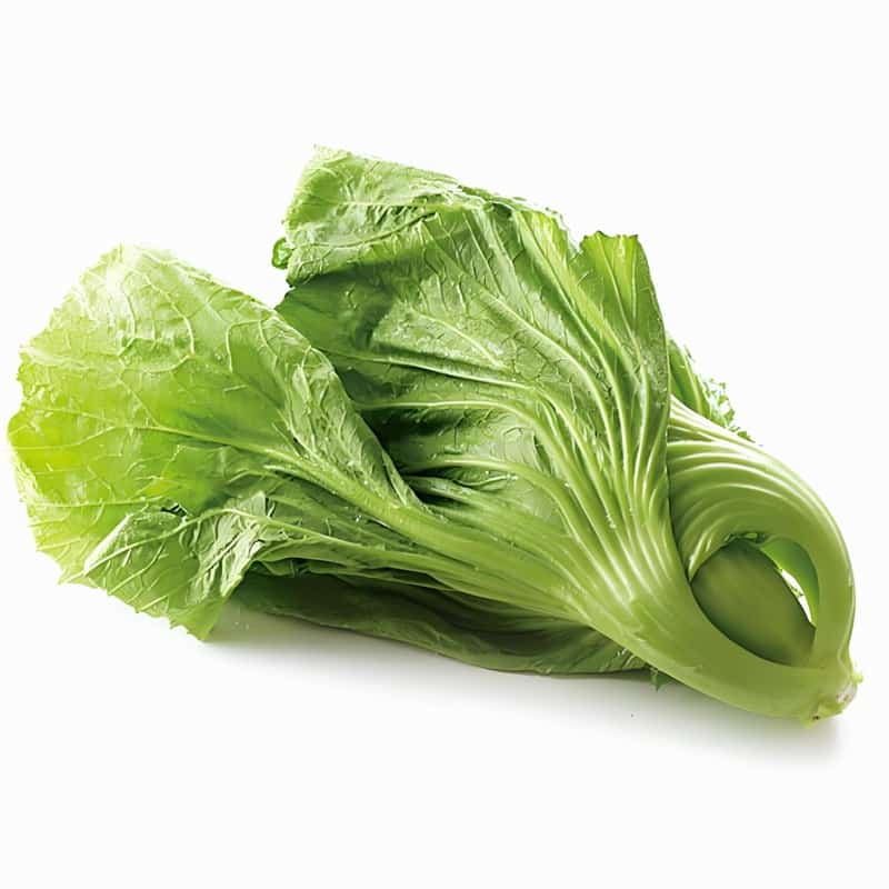 怀柔蔬菜食材配送团队